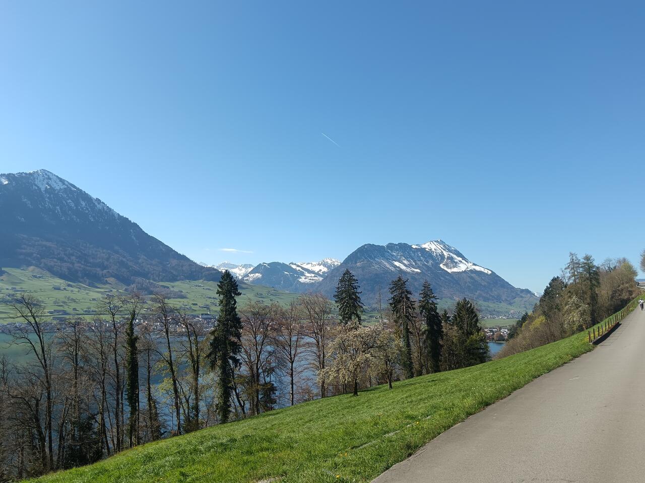 The view