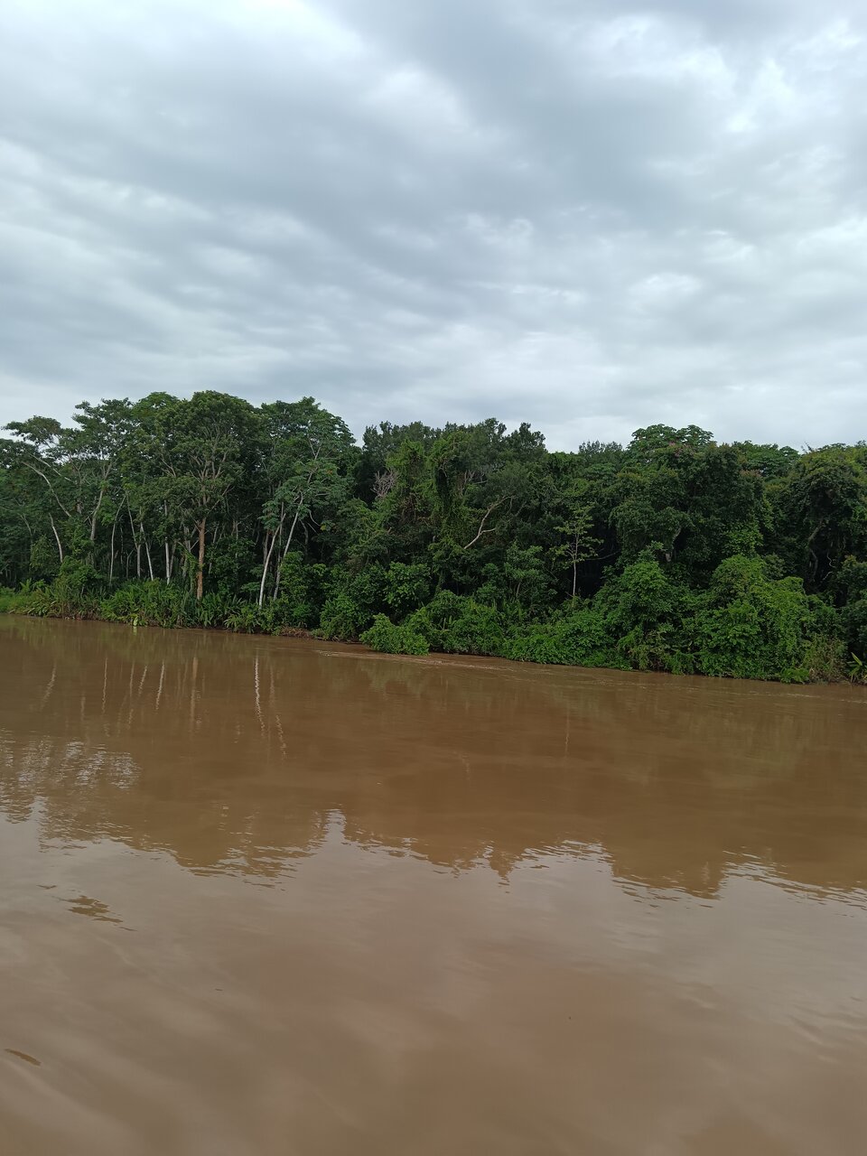 amazonas