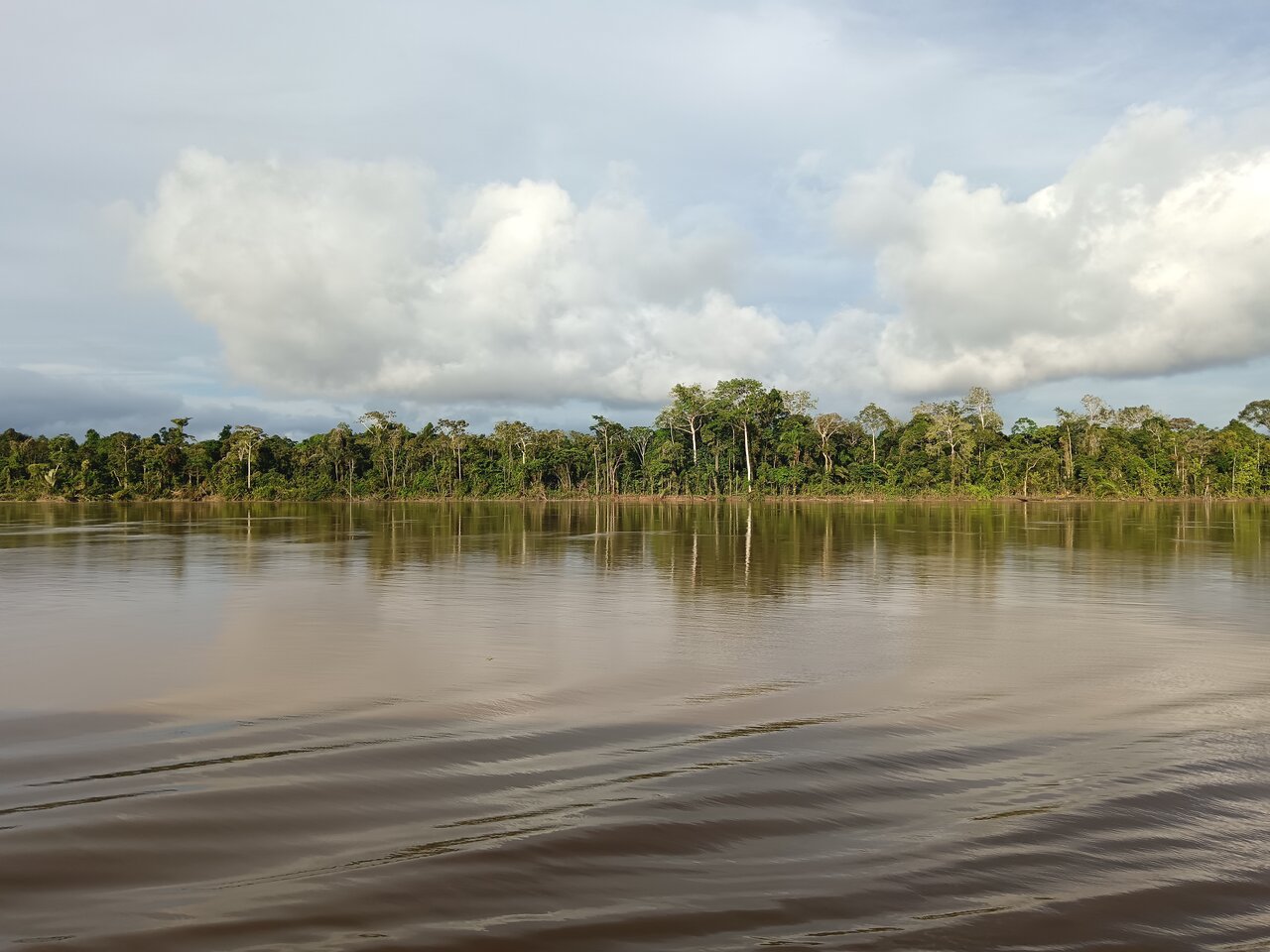amazonas