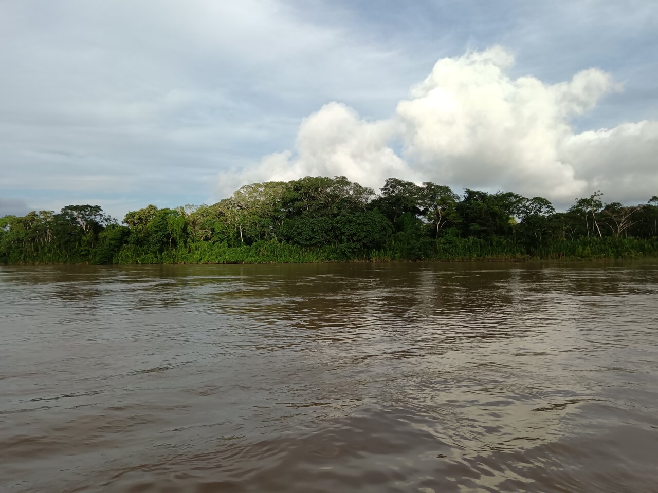 amazonas