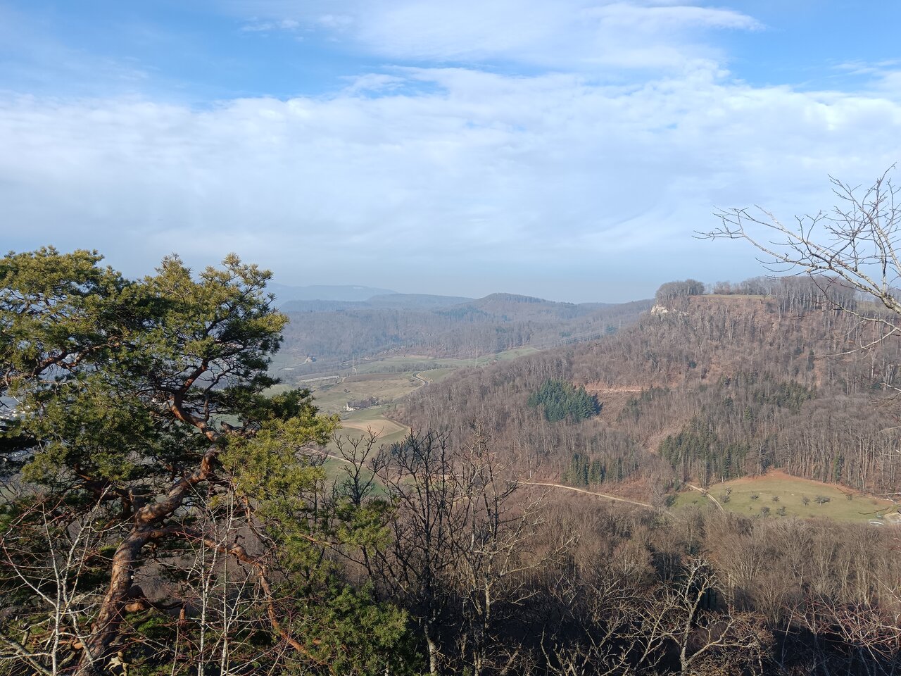 Bischofstein