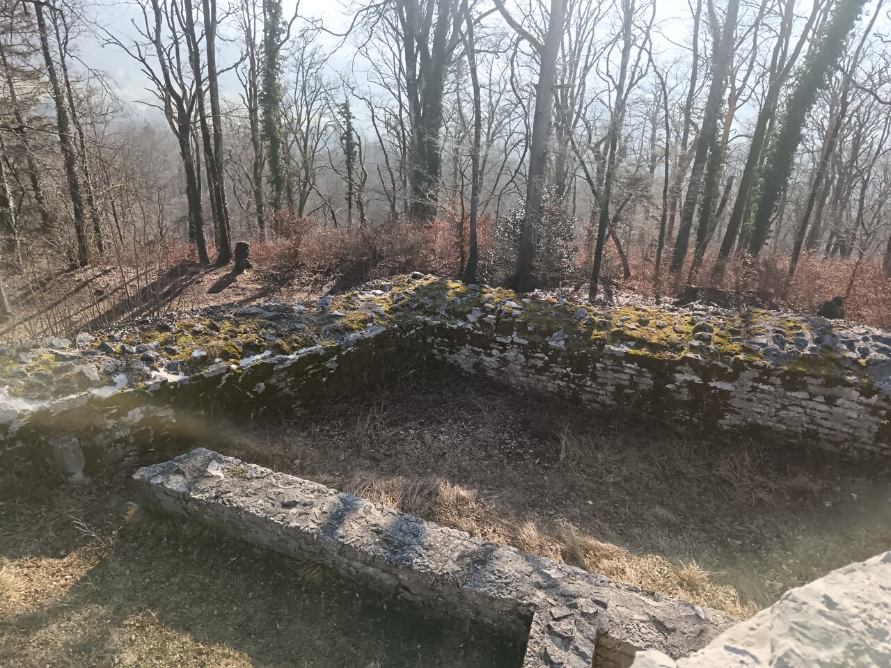 Bischofstein