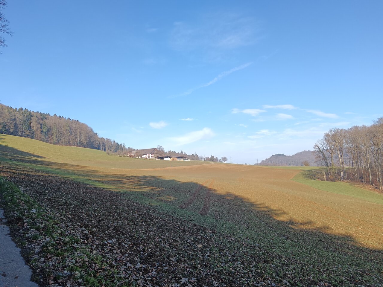 Landscape nearby Geltenkinden