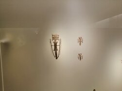 Museo del Oro
