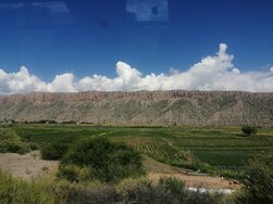 Cachi