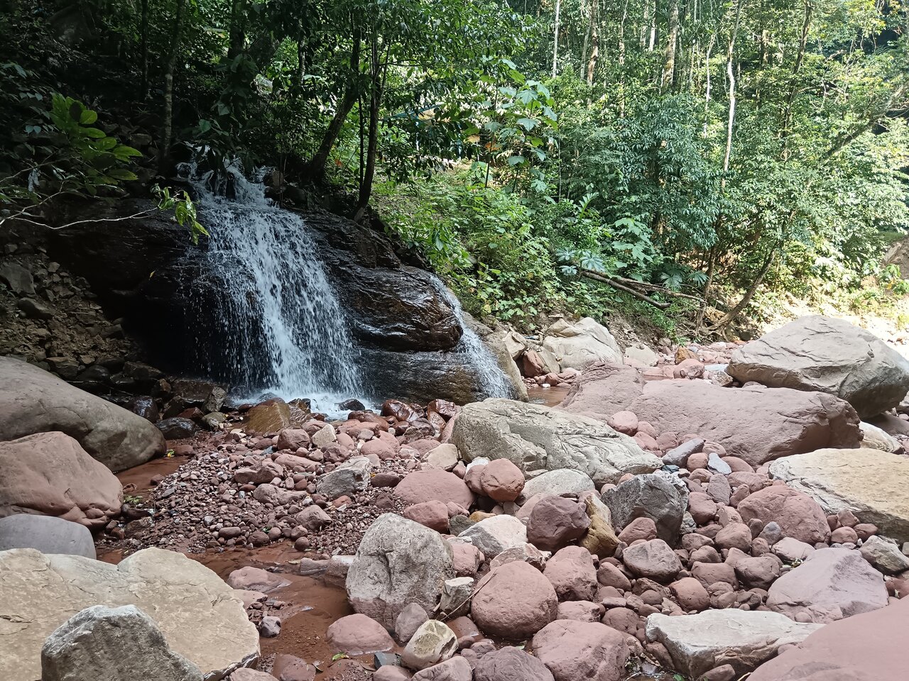 cachiyacu