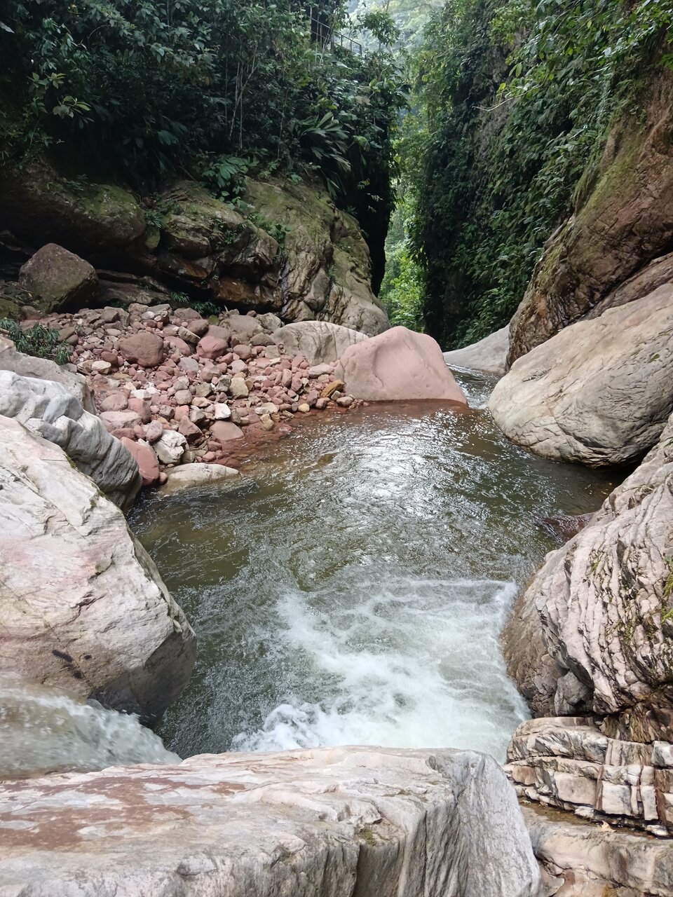 cachiyacu