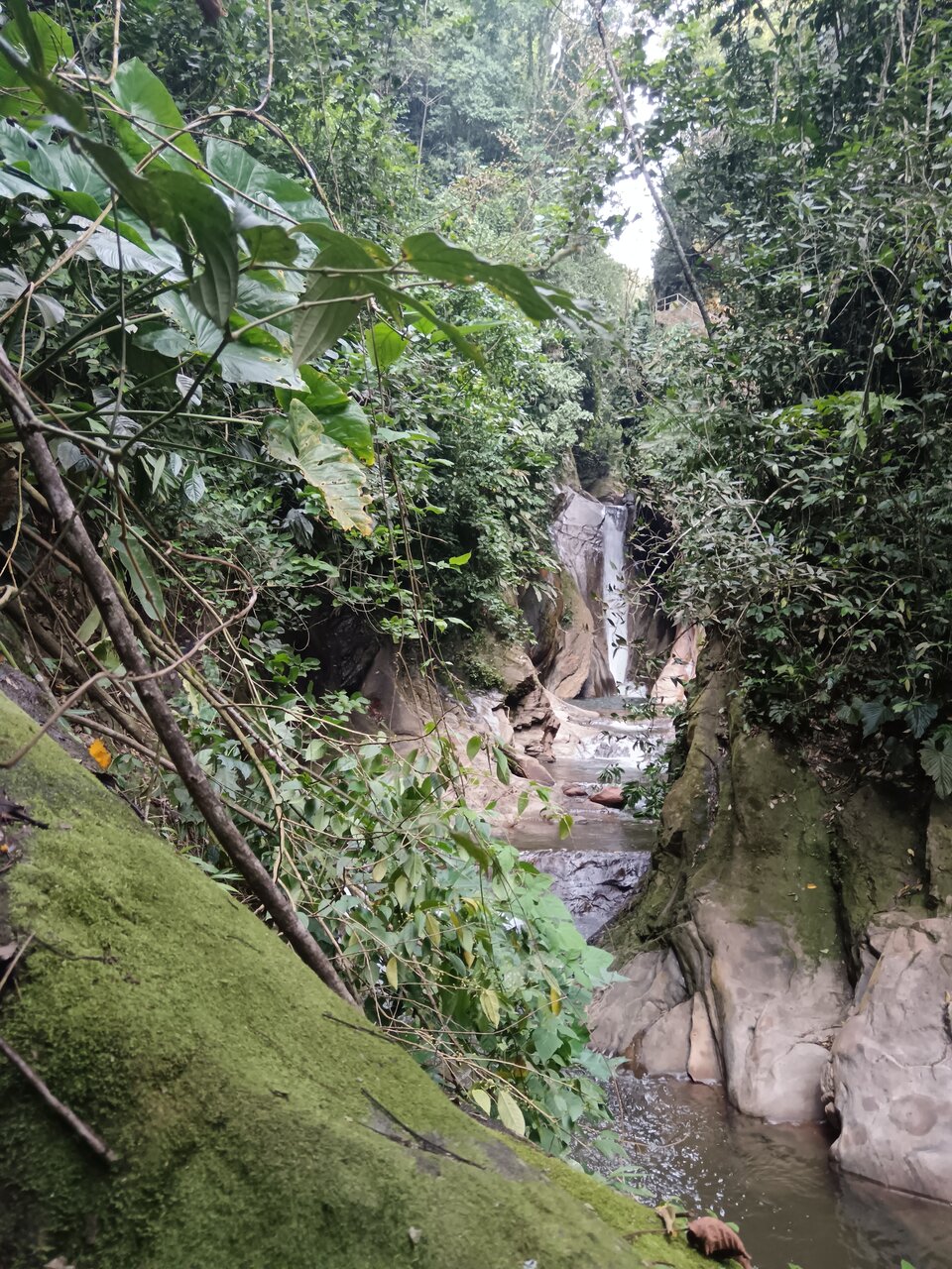 Cachiyacu Waterfall