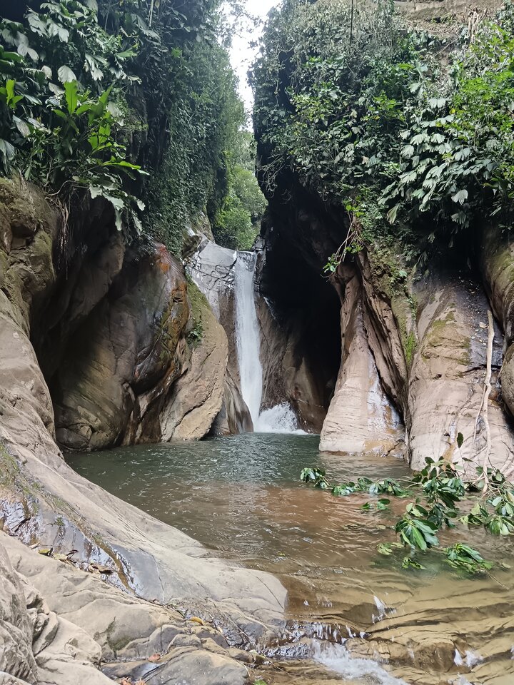 cachiyacu