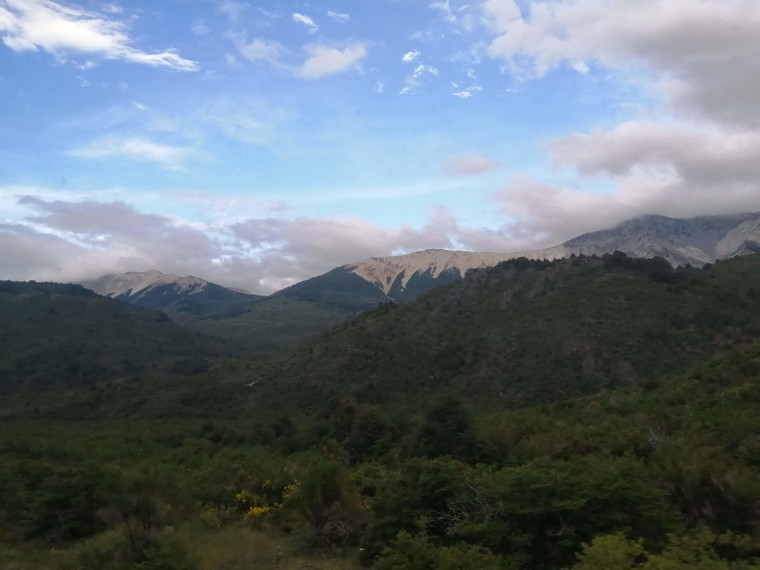 Landscape from the Bus