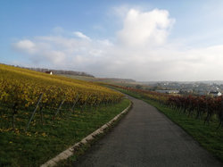 Heilbronn