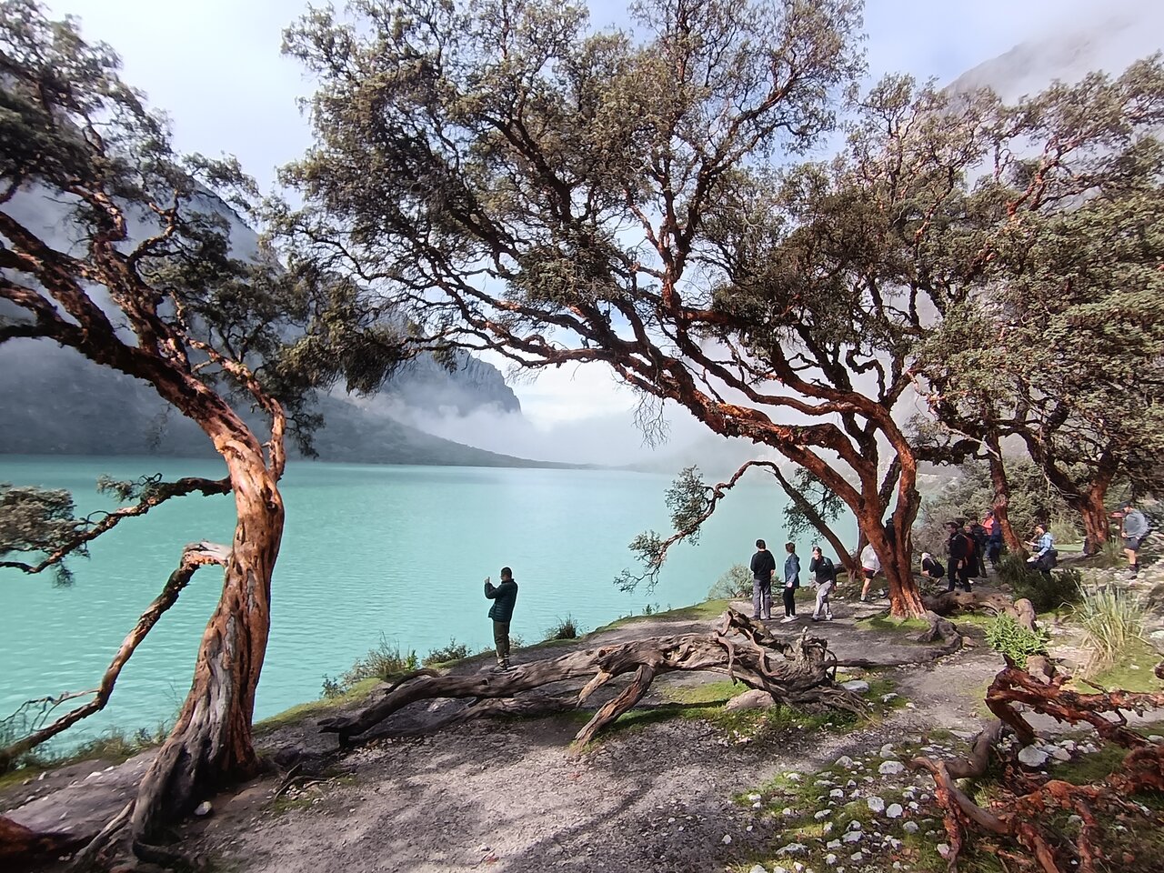 laguna69