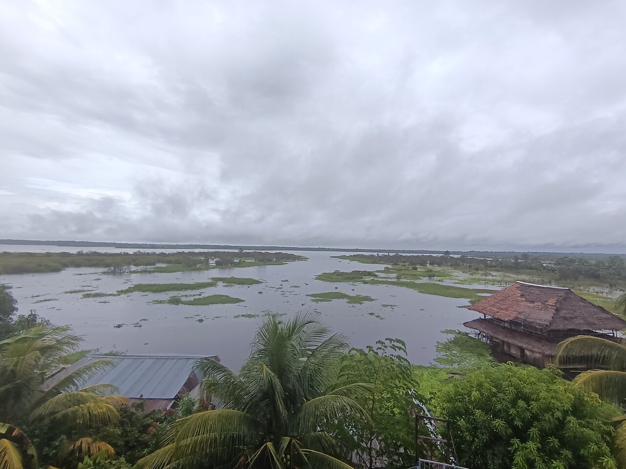 iquitos