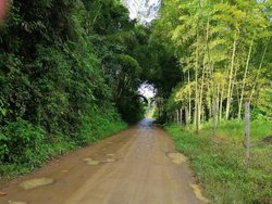 My running path