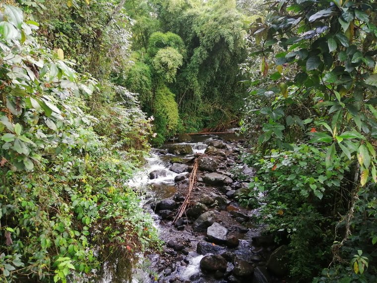 River, Jardín