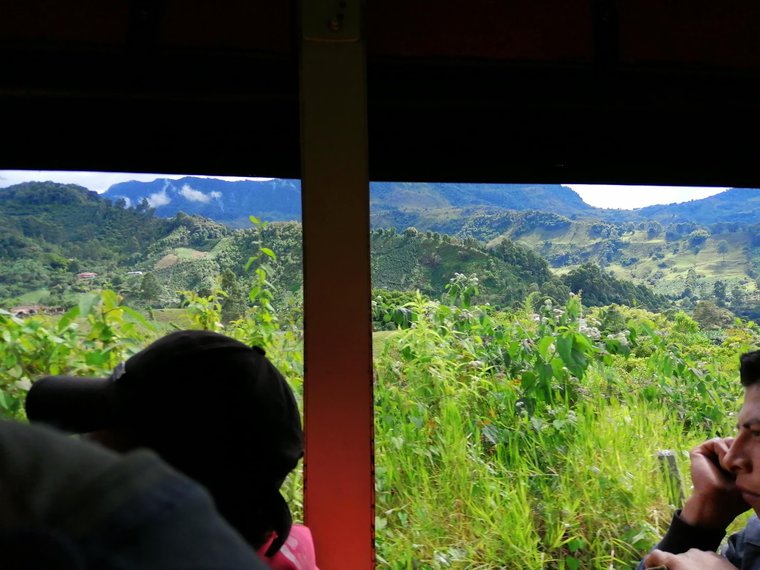 View from the Bus
