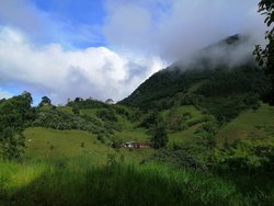 Landscape, Jardín