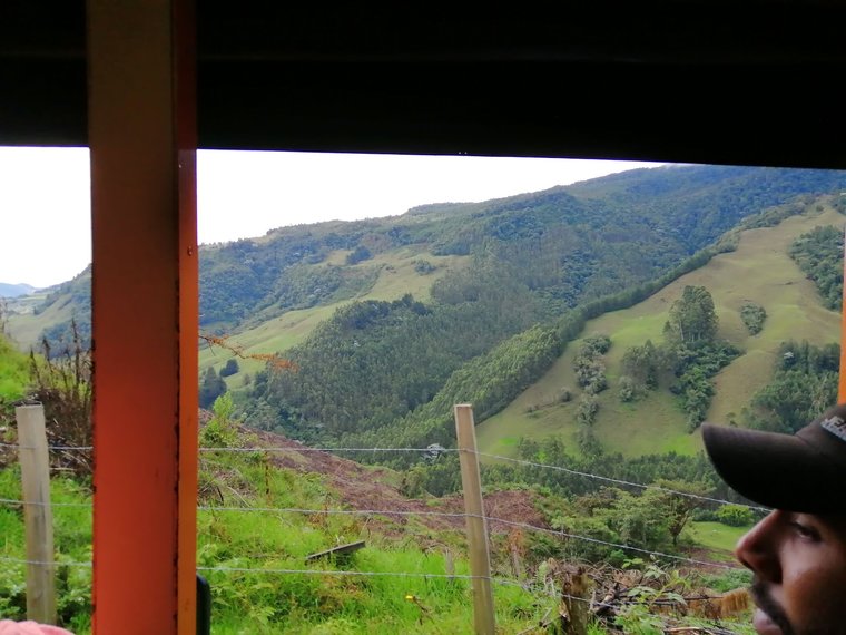 View from the Bus