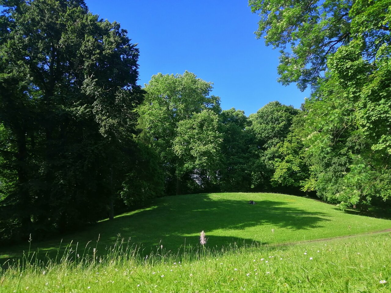 English garden