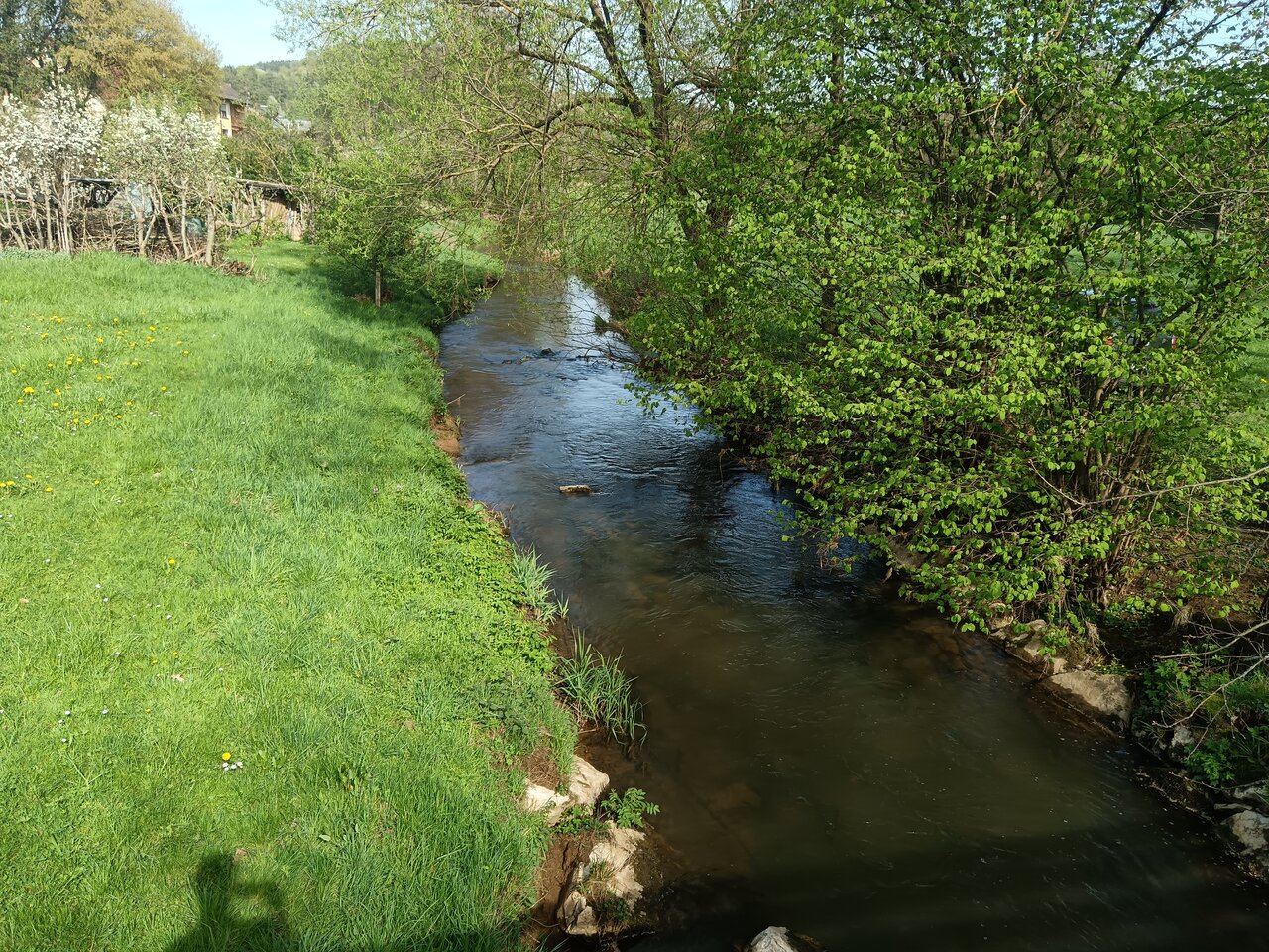 Pegnitz River in Pegnitz