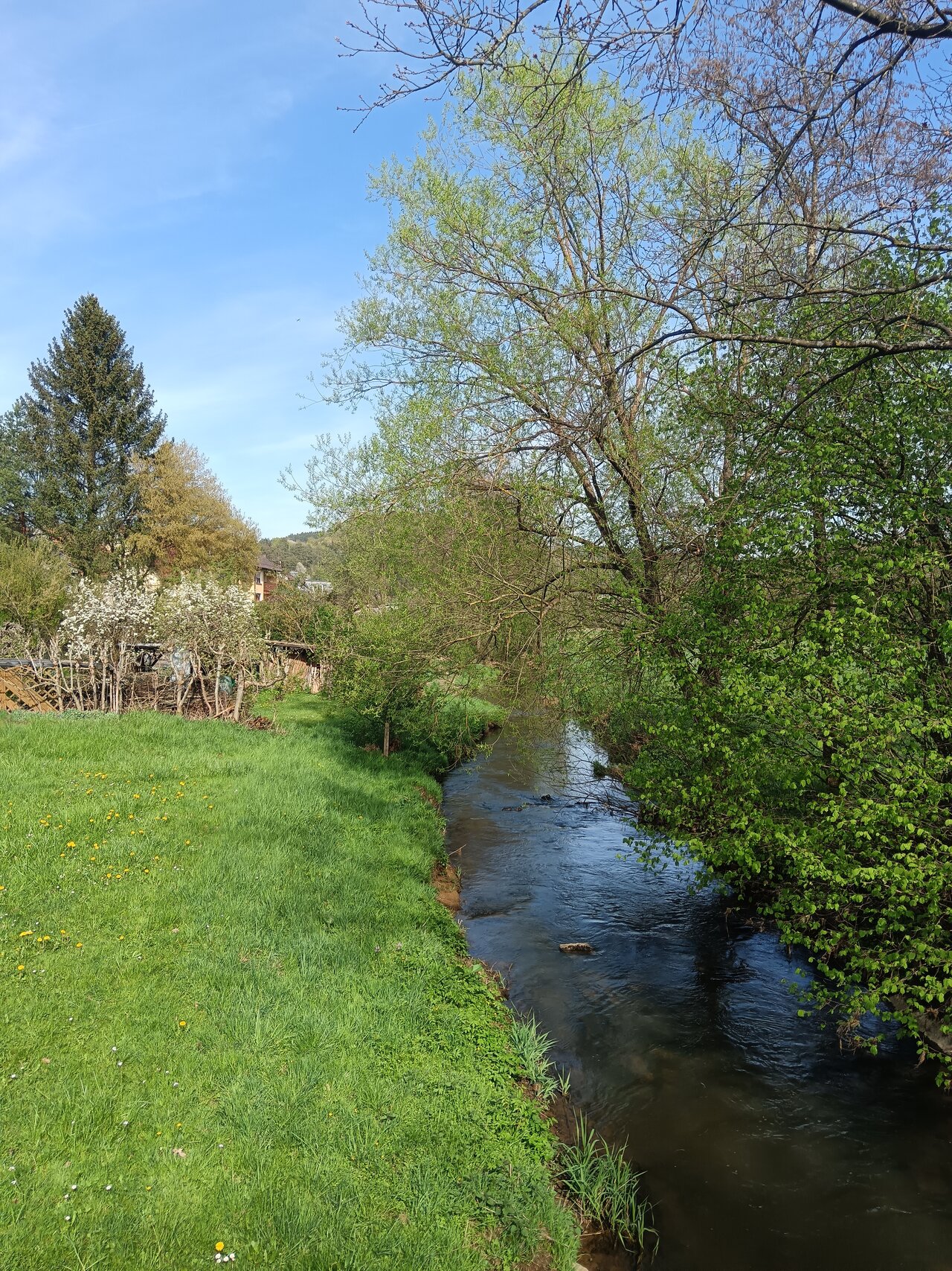 Pegnitz River in Pegnitz