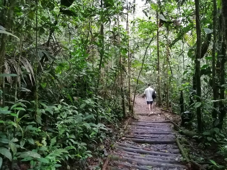 San Cipriano, Colombia
