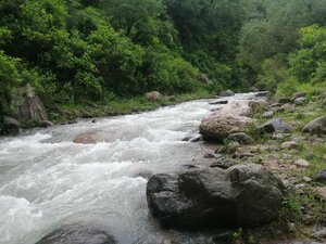 Yala river