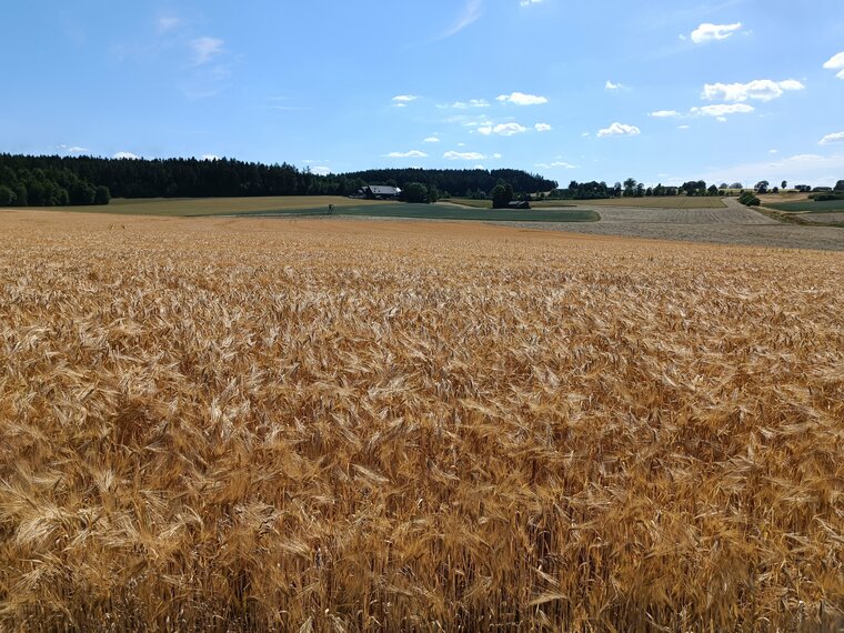 Schwarzbach an der Saale