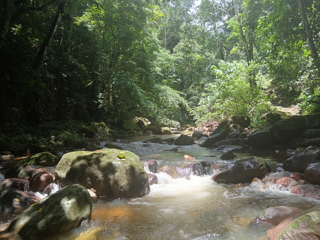 shilcayo