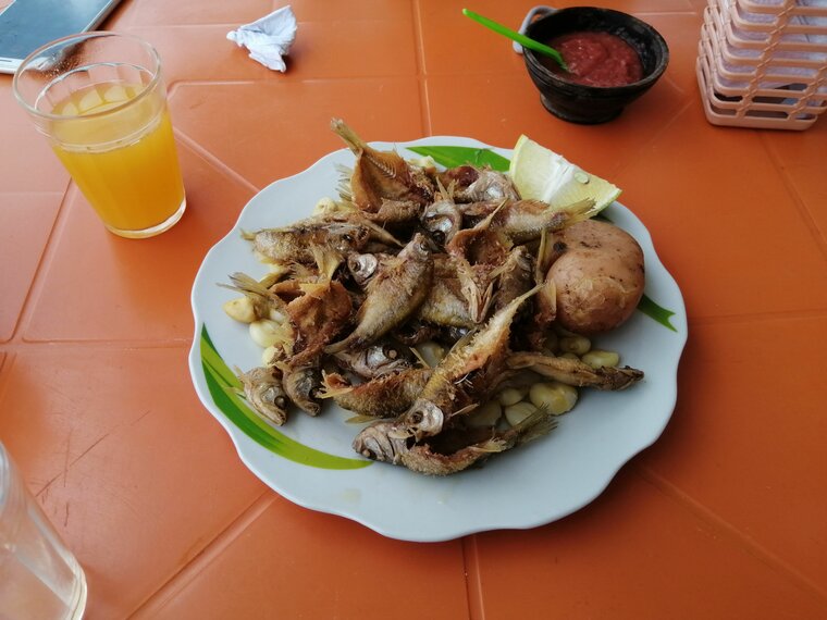 Tarija, Bolivia