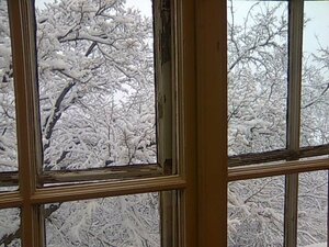 View from the window of my School