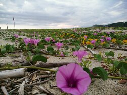 Tayrona National Park, Colombia