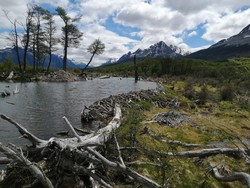 Laguna Esmerelda