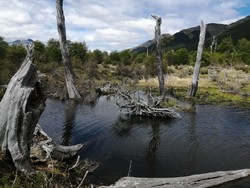 Laguna Esmerelda