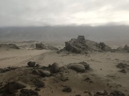 view_from_the_bus